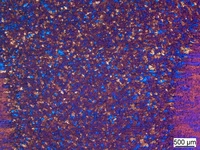 Fine-grain structure due to TiB particles